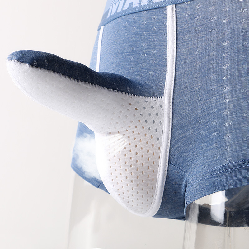 Herren Eisseide Boxershorts, A – Mesh Sport Boxer Bewertung und Preis