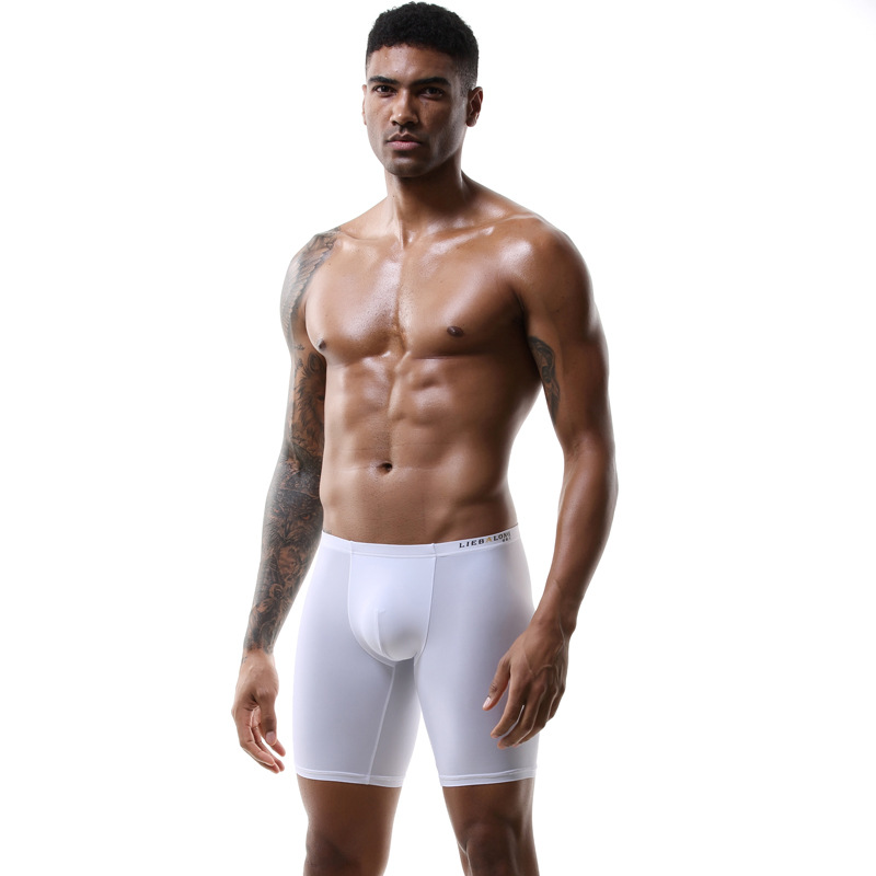 Männer Stämme lange Beine Boxe – Long Leg Trunk Men Bewertung und Preis
