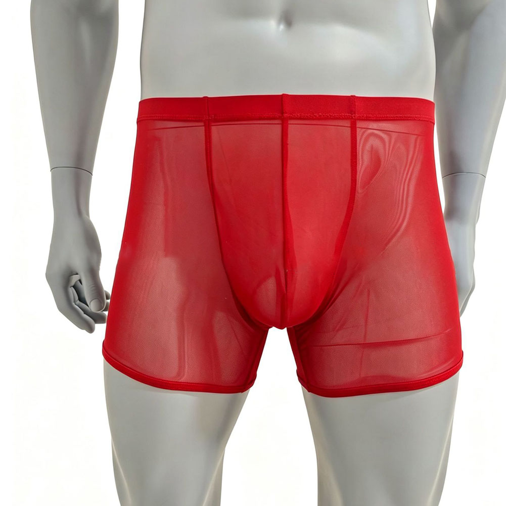 Herren Mesh Durchsichtige Ultr – Long Leg Trunk Men Bewertung und Preis