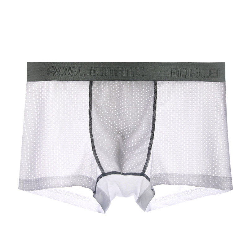 Herrenunterwäsche Herren-Boxer – Mesh Sport Boxer Bewertung und Preis
